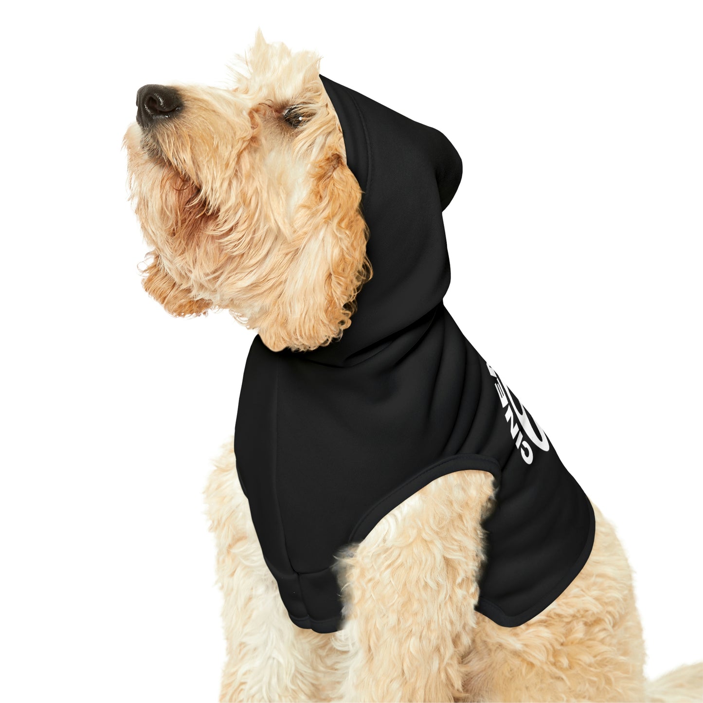 Cinema Guido Dog Hoodie